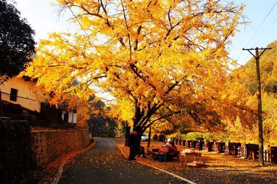 襄阳武汉周边旅游景点,武汉周边民宿旅游景点