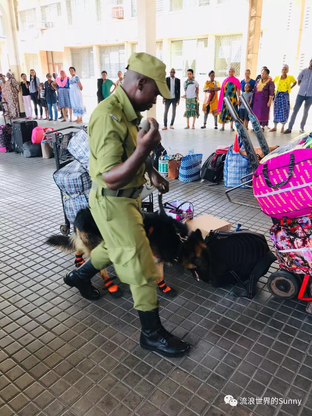 流浪非洲，乘坐中国援建火车去赞比亚，满满的亲切