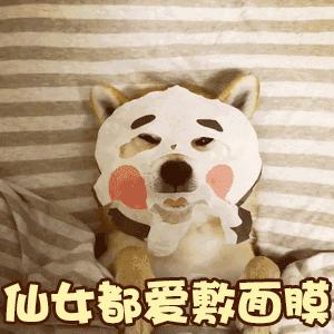 耗了450片面膜，终于觅得“膜王”！秋天不补水来年徒伤悲...