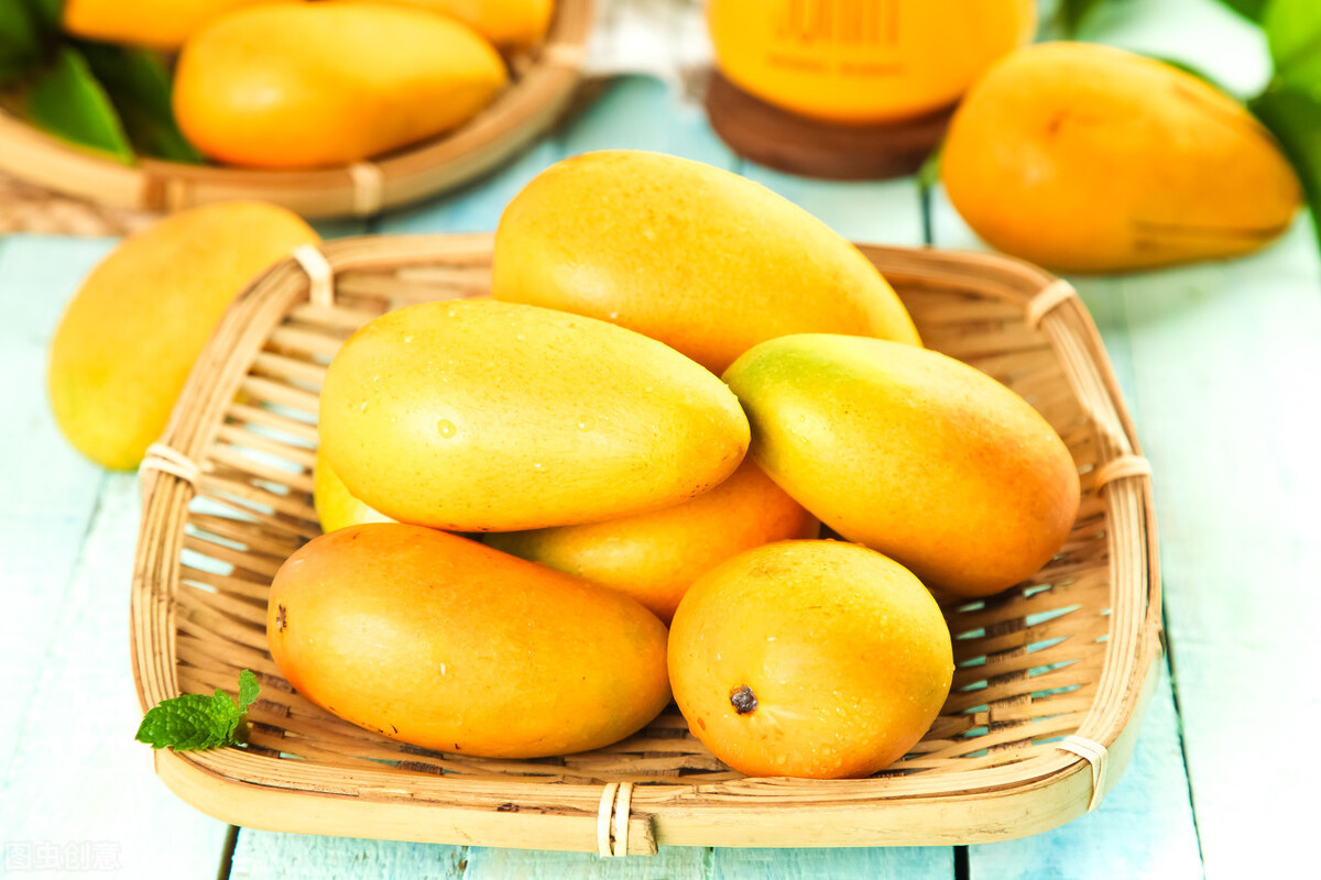 芒果贵妃芒金煌芒,海南芒果金煌芒和贵妃芒