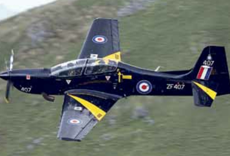 亚马逊雨林十大最凶猛的鸟,棕色巨嘴鸟