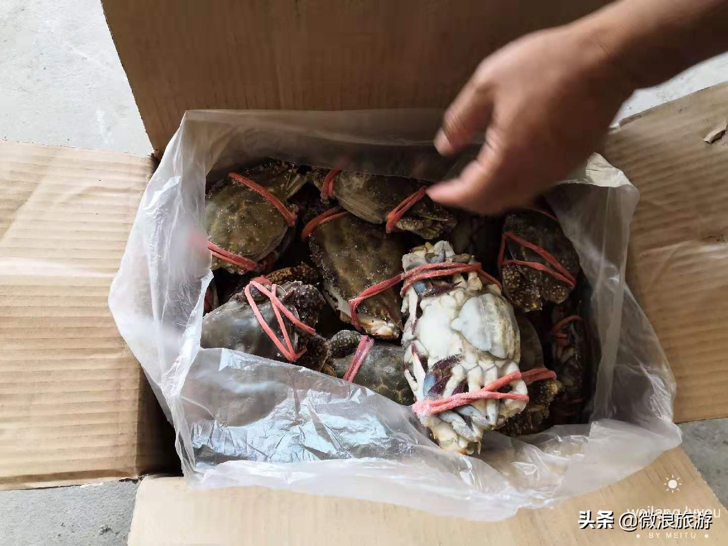 “死螃蟹”上餐桌，被一抢而光，渔家乐老板道出了一个秘诀