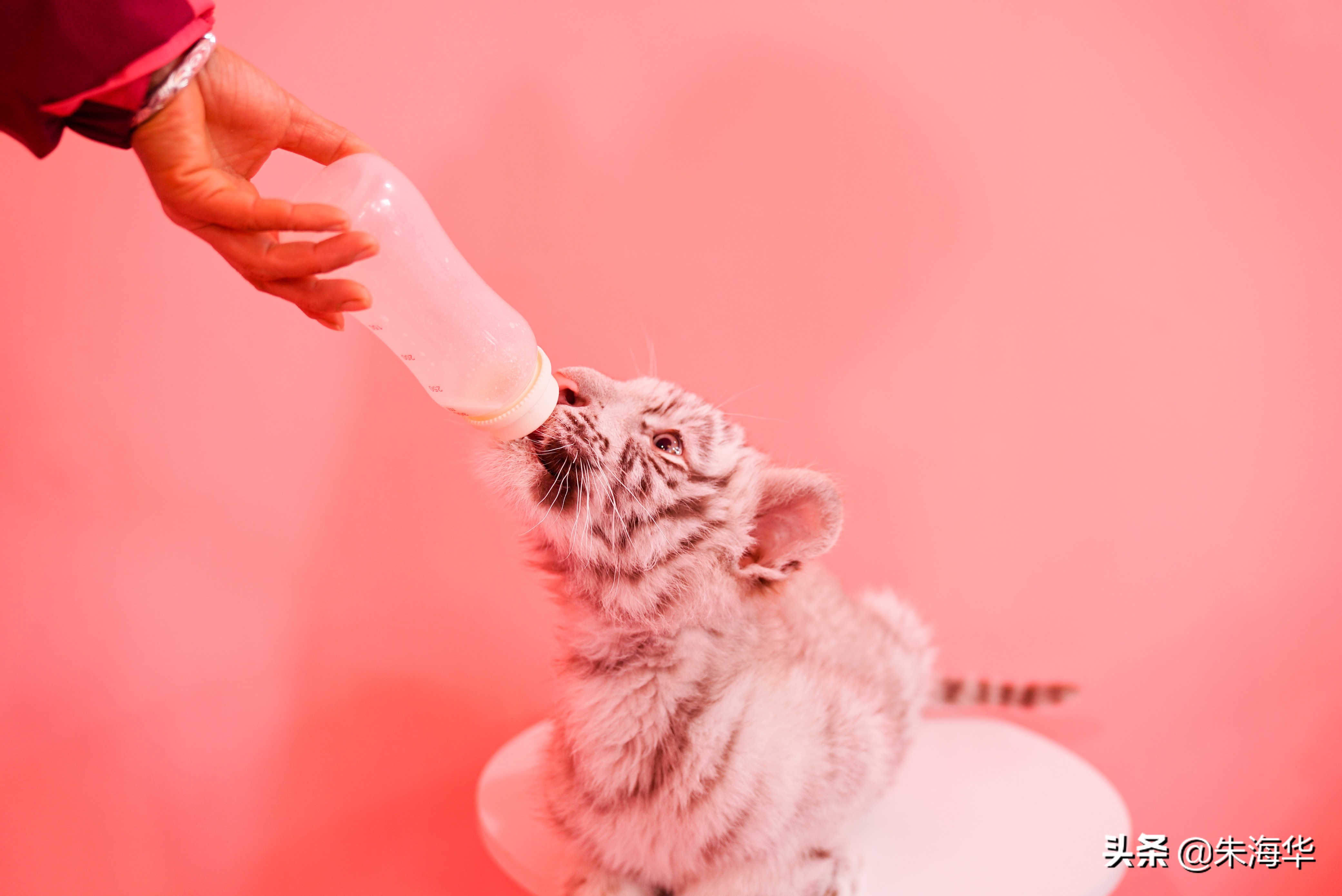 镜头记录：“它们”和我们