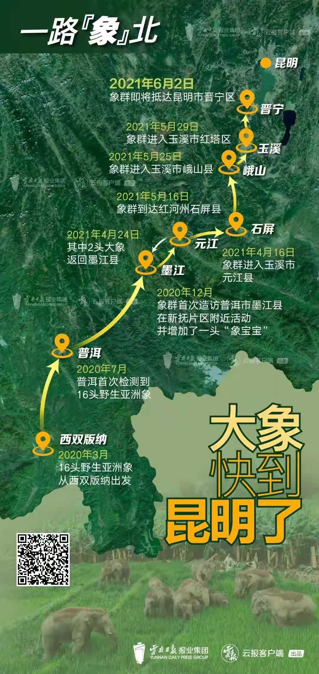 今年最火爆的七星级团综：亚洲象北漂