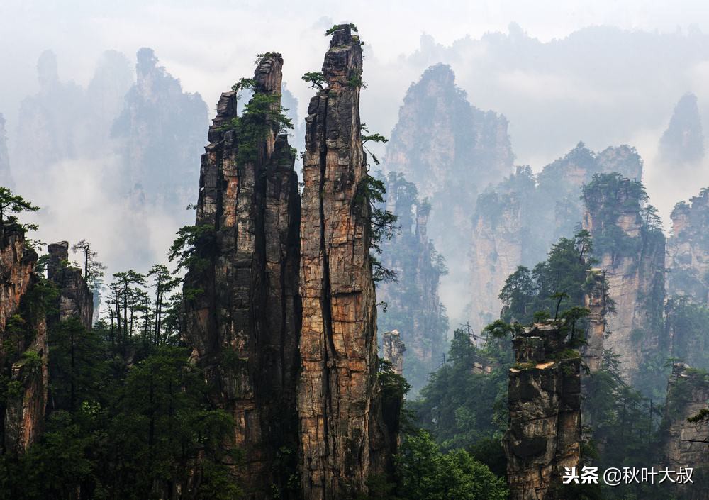 如果自己被冤枉，牢记这五点，老板满意，同事服服帖帖
