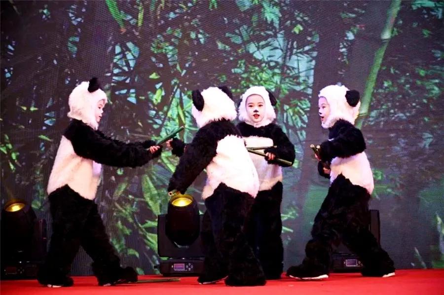 武侯区棕北西区小学好不好,武侯区弟维小学和棕北小学哪个好