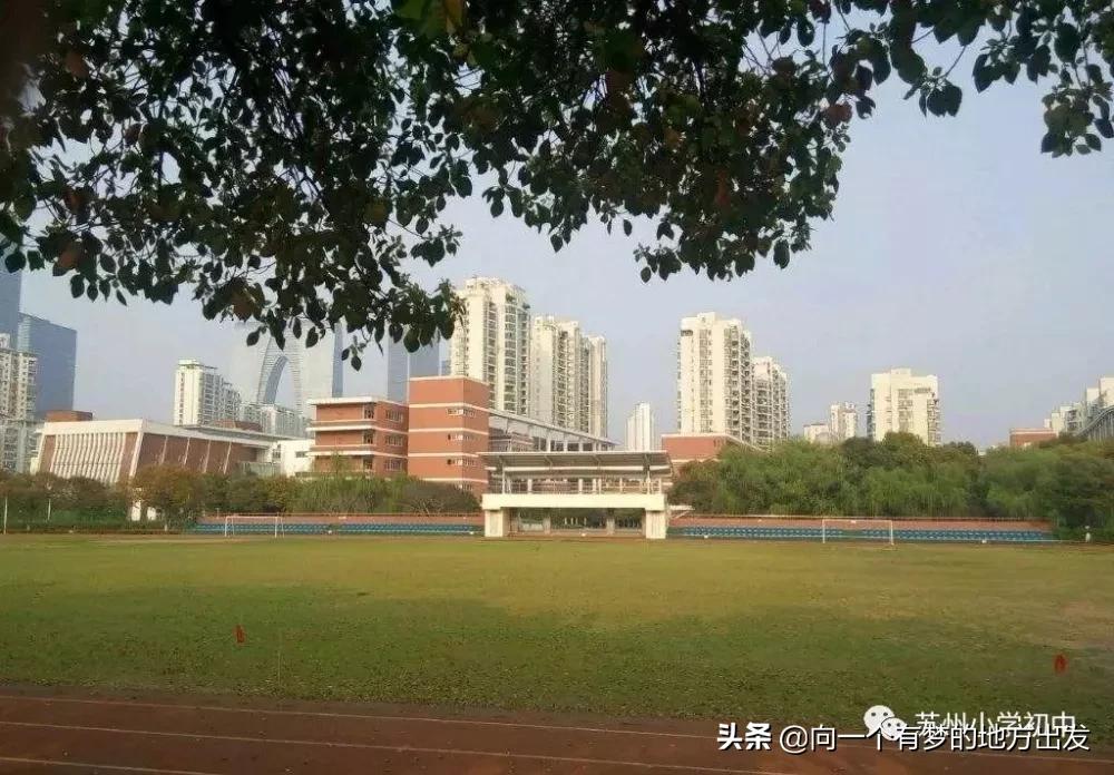 园区星海实验中学有小学吗,星海实验学校怎样