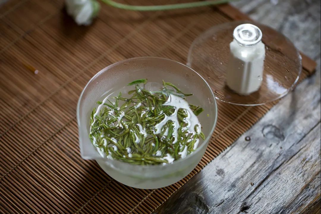 安吉白茶2024新茶高山白茶,2018年安吉明前白茶