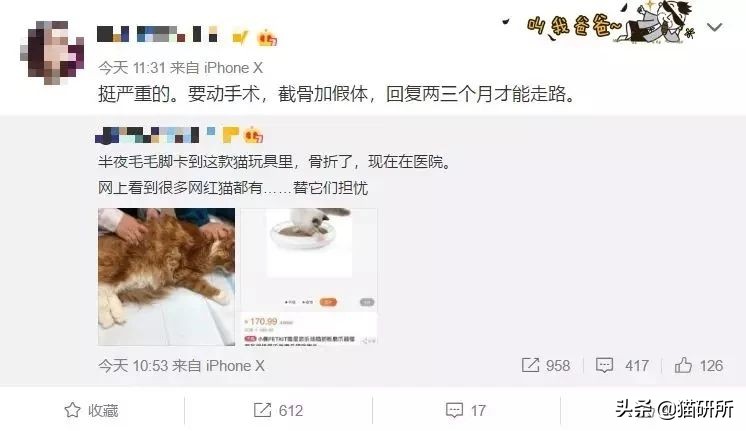 哪些猫咪玩具对小猫有害 (对猫咪有益的玩具)