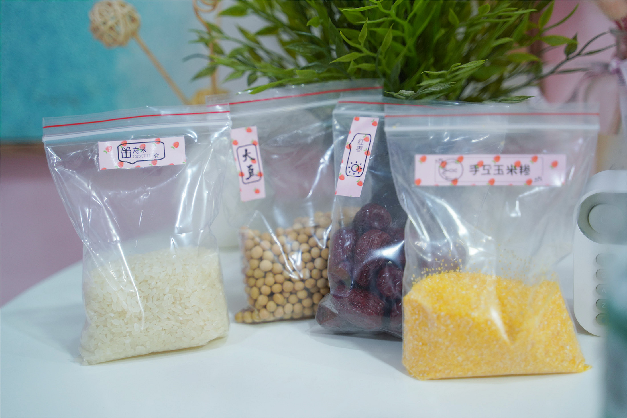 海鸟贴纸打印机,海鸟打印机使用方法