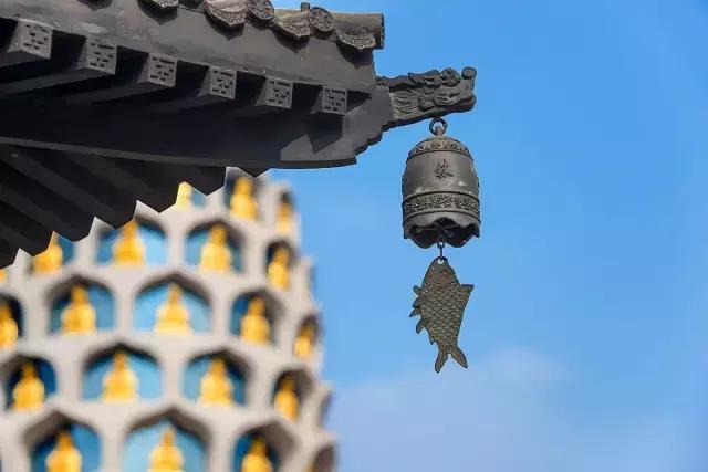 对新都的了解,新都20年前的回忆照片