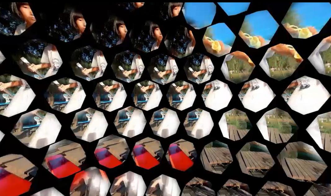 苍蝇为什么要停下一直搓手视频,为什么苍蝇一停下就搓手