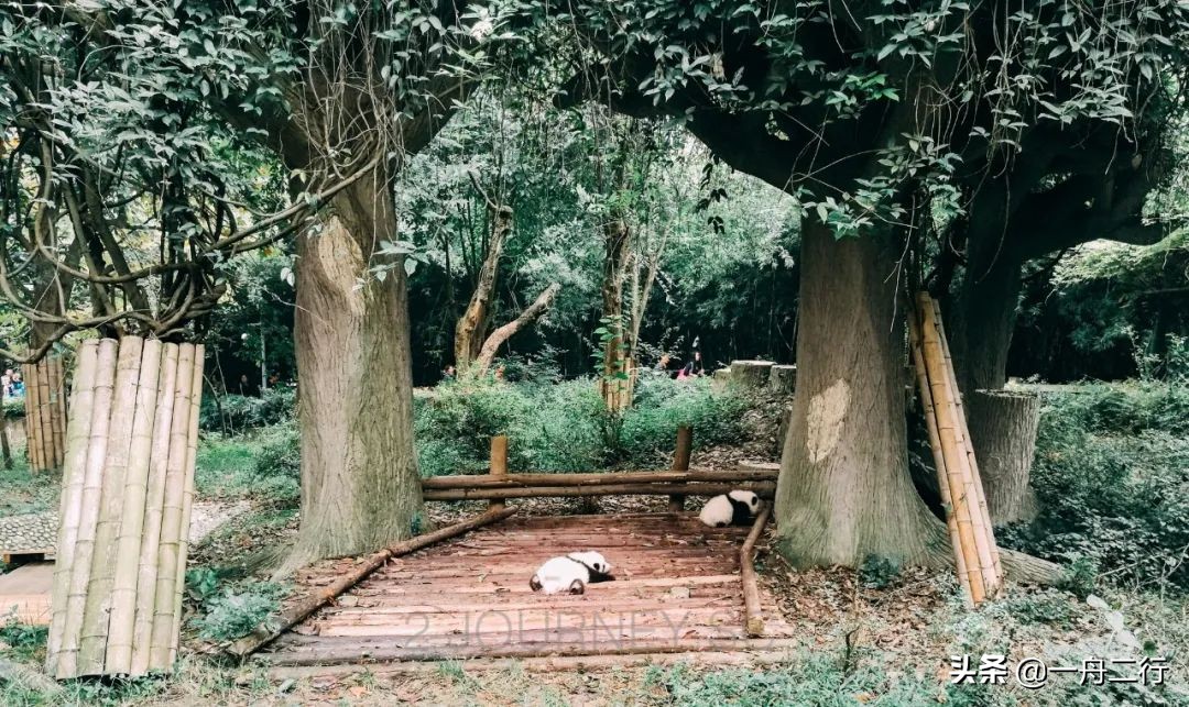 成都二三五科技有限公司,成都二三里