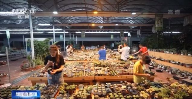 苏北第一县级市沭阳,苏北第一大县沭阳