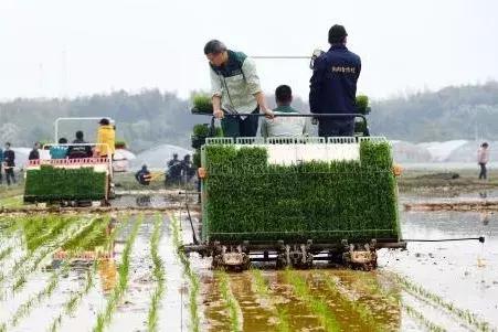 四川关于保护动物的事件,保护野生动物事件