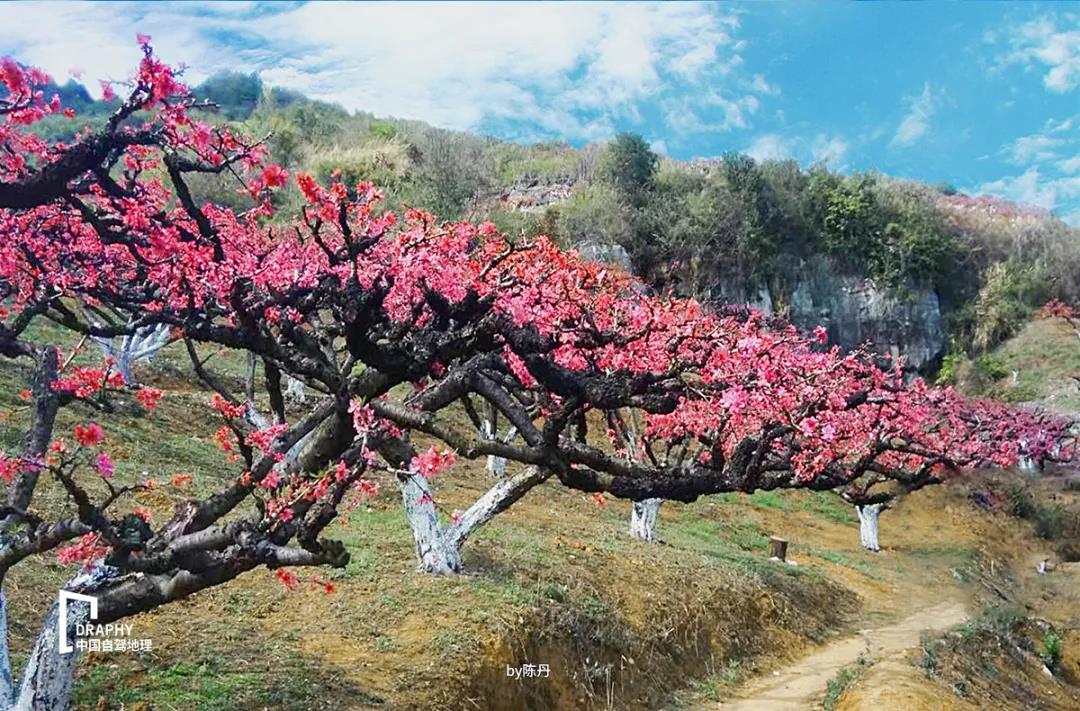 广东省周末自驾游民宿温泉推荐,广东温泉旅游攻略路线