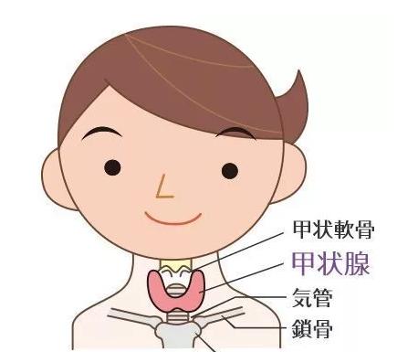 儿童甲状腺弥漫性肿大可早期预防,预防甲状腺肿大最好的方法