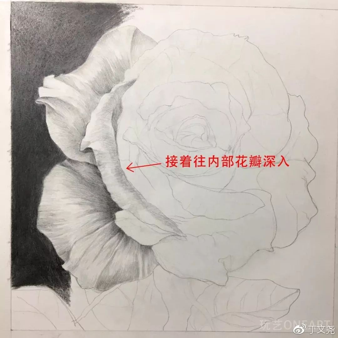 素描基础绘画教程郁金香,素描丁程鑫详细教程