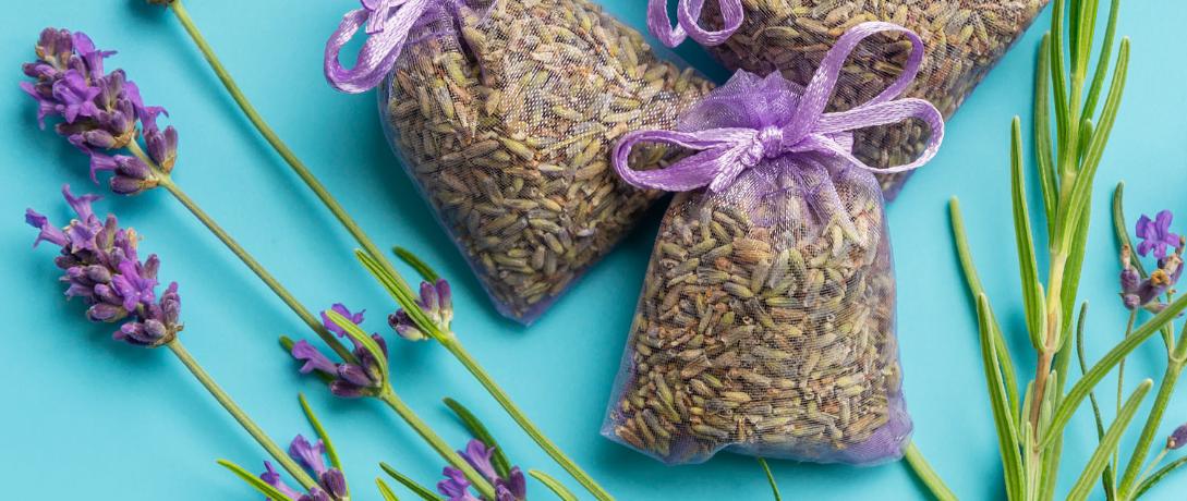 端午的艾叶可以留着别扔,用来洗头,消毒又止痒