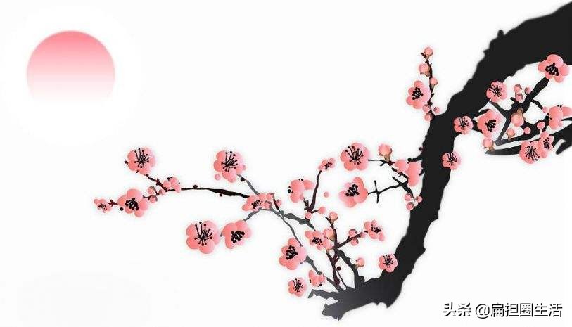 山园小梅疏影横斜水清浅,山园小梅疏影横斜水清浅手势舞