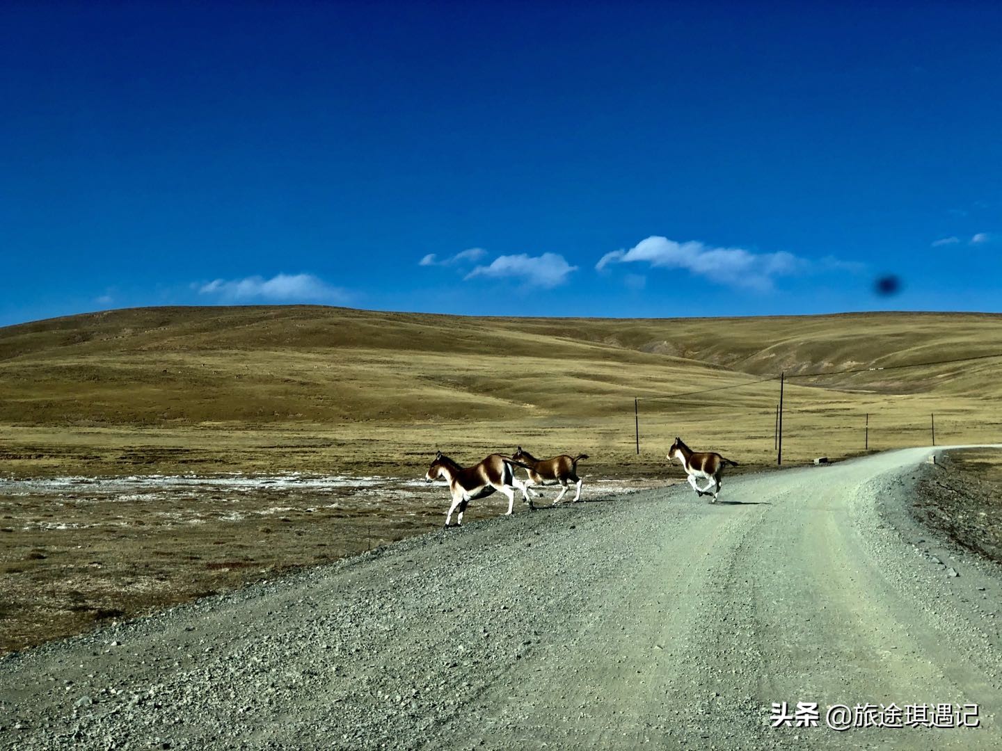 走进黄河三门峡段,探访黄河源头