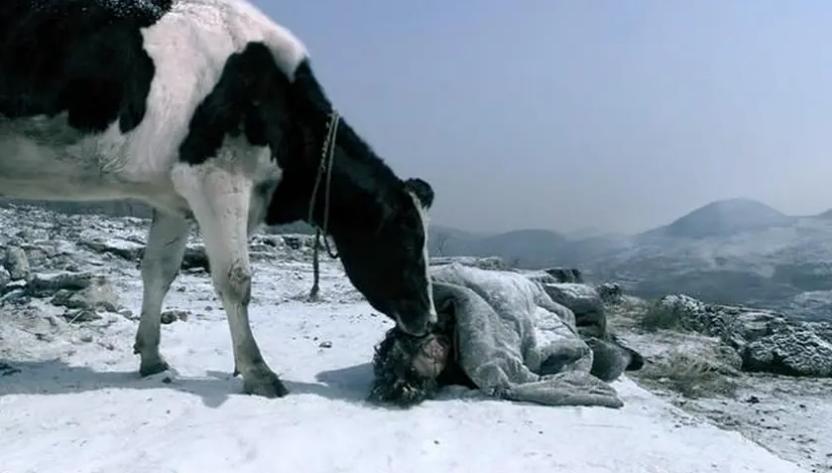 斗牛比较搞笑的,斗牛最搞笑的时候