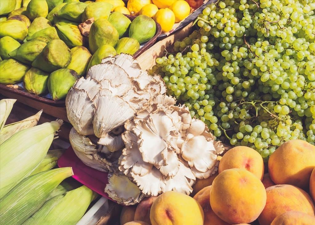 农村种植葡萄一年收入,农村种植葡萄年入500万