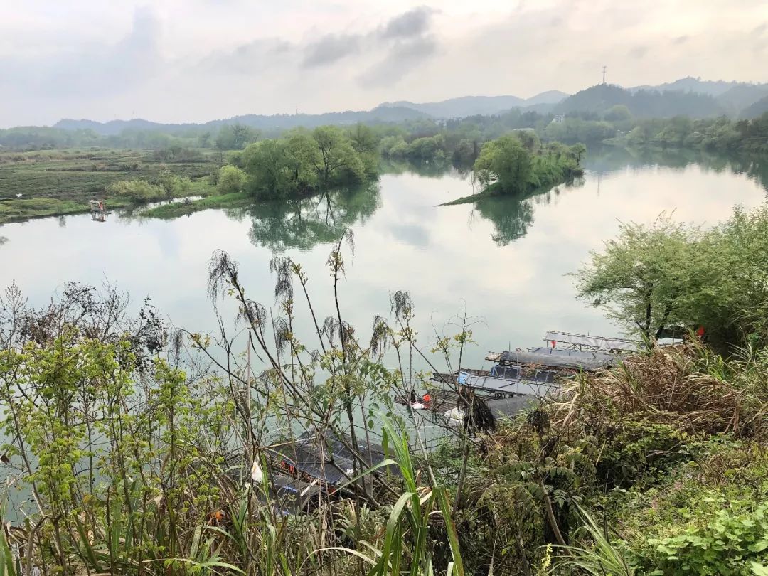 婺源清华朴园,婺源旅游攻略2日游民宿