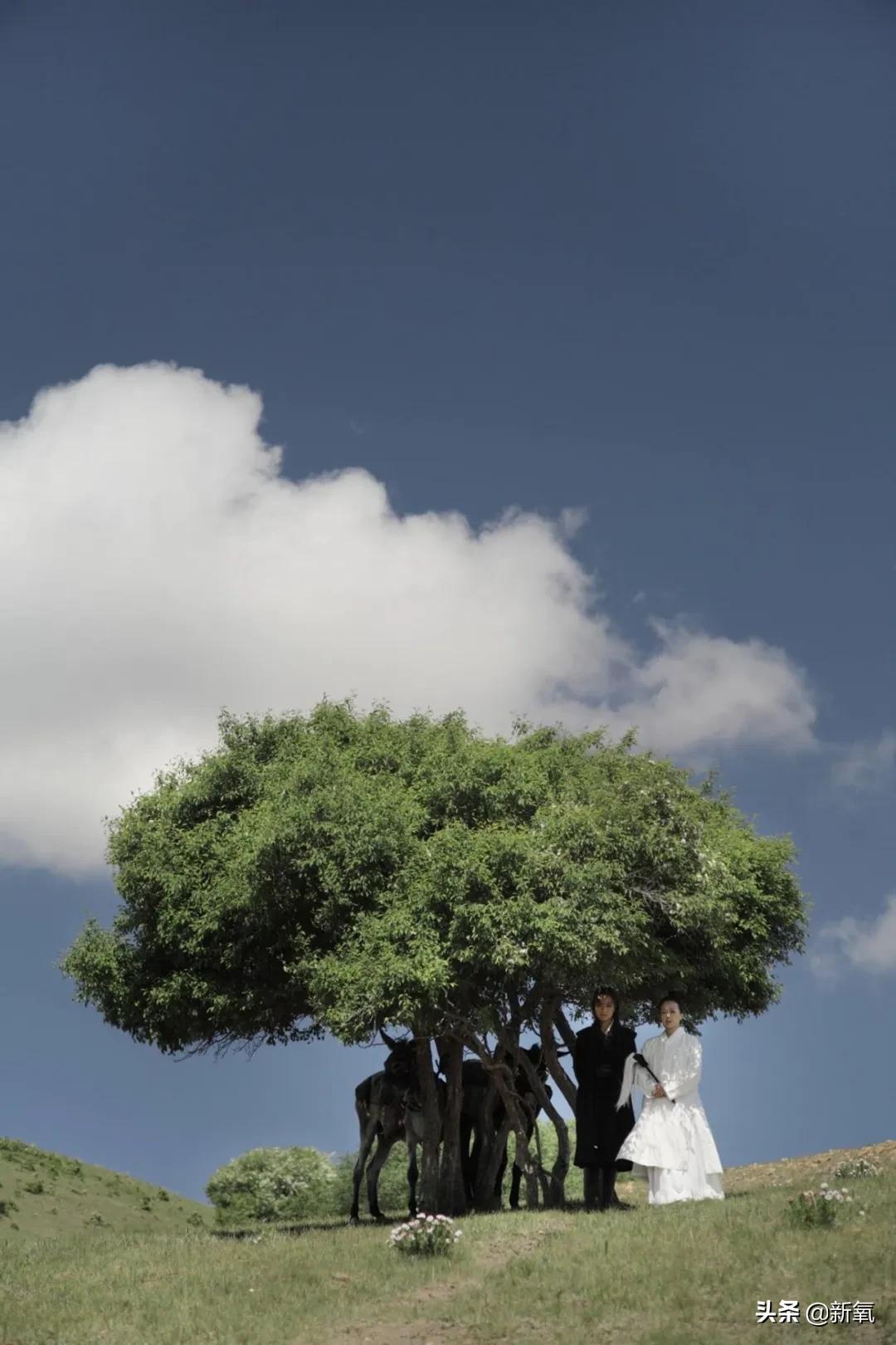 洋气为什么叫洋气,为什么漂亮的女人容易被人诋毁