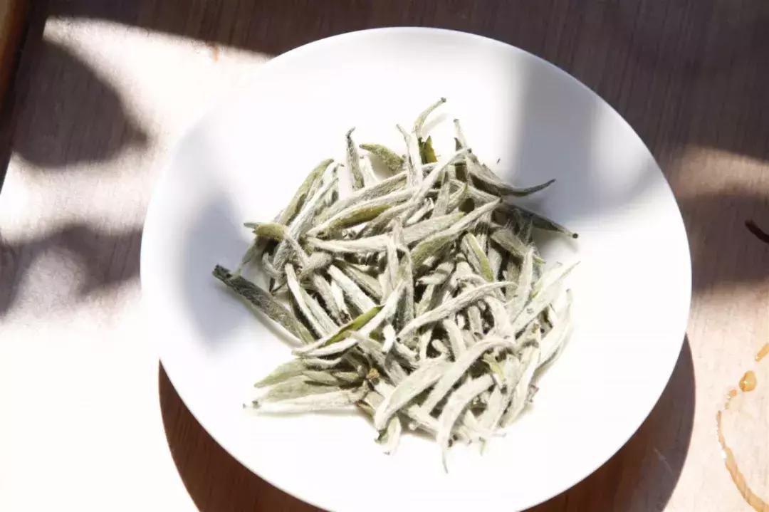 怎样辨别正宗福鼎白茶,怎么鉴别福鼎白茶好坏视频