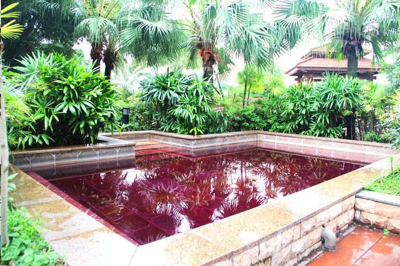 罗浮山室内温泉酒店推荐,罗浮山附近温泉推荐酒店