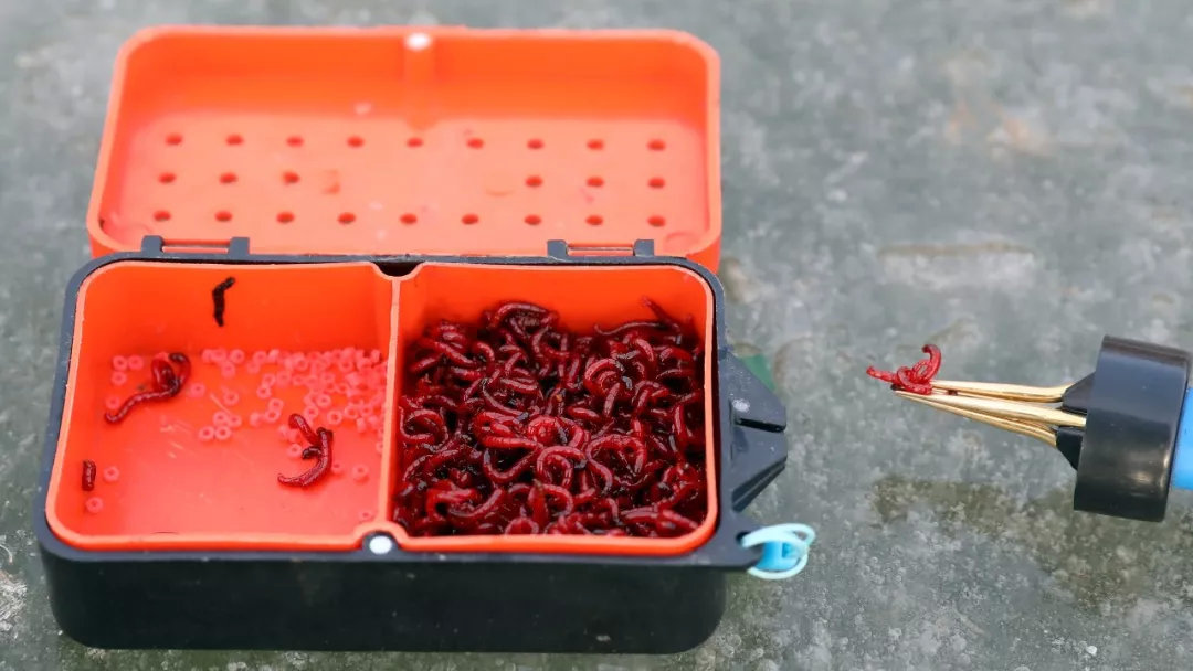 上州屋2019迎新春小西湖冰钓比赛圆满结束