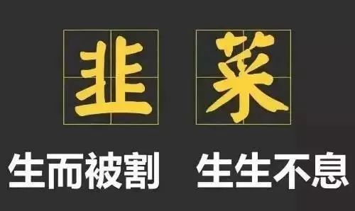 a股股民心声,a股股民翻译