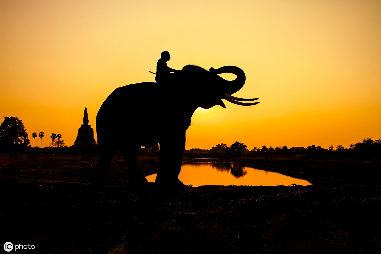同样是厨师为什么别人炒的菜香,为什么同样是厨师差别那么大