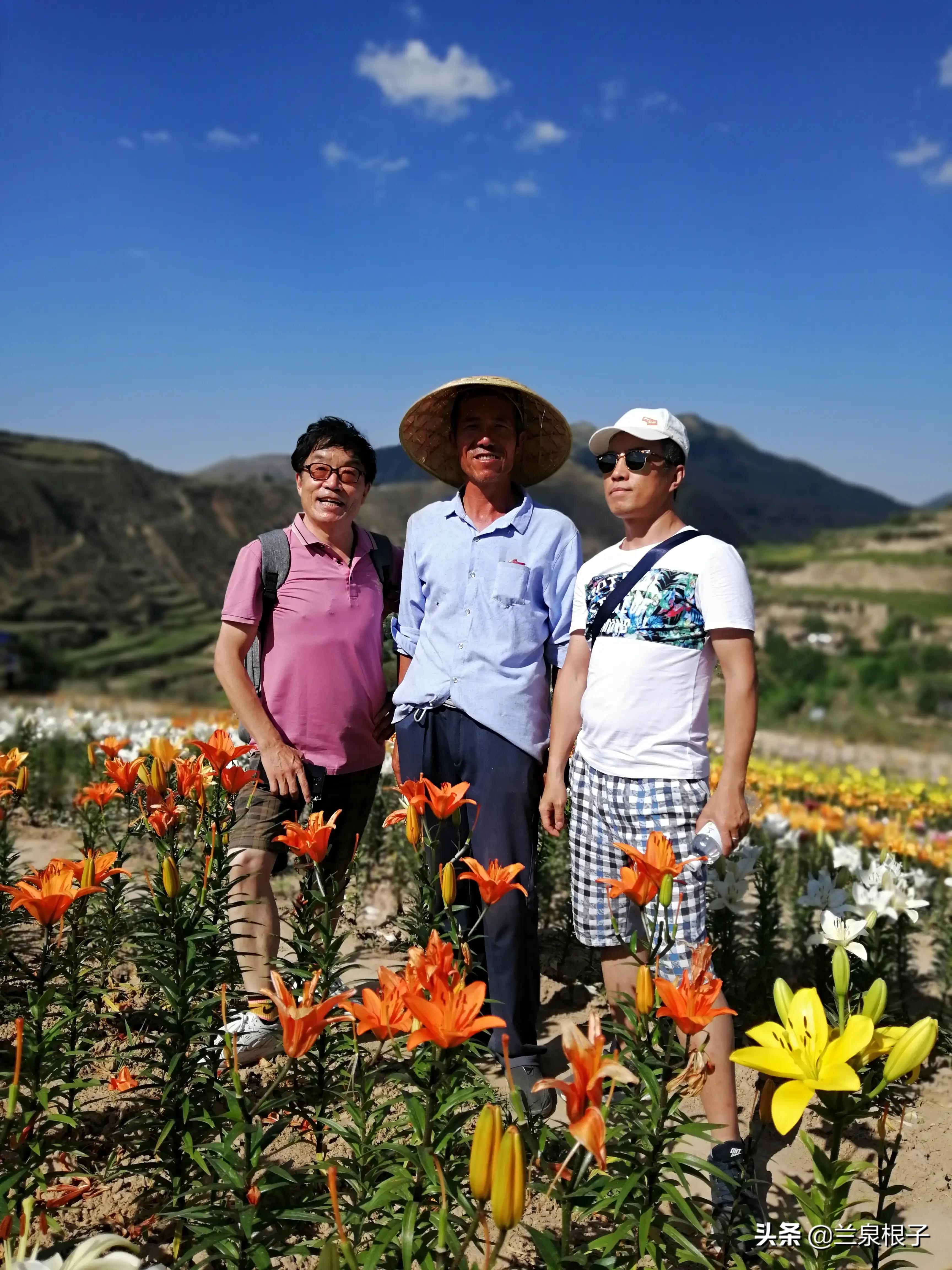 知青那些事儿全集,知青剧那些年那些事