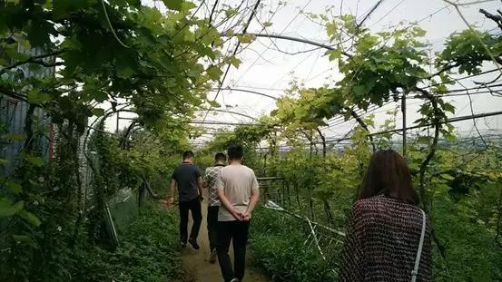 云动两周年：大江东去浪淘尽，细数长葛电商行