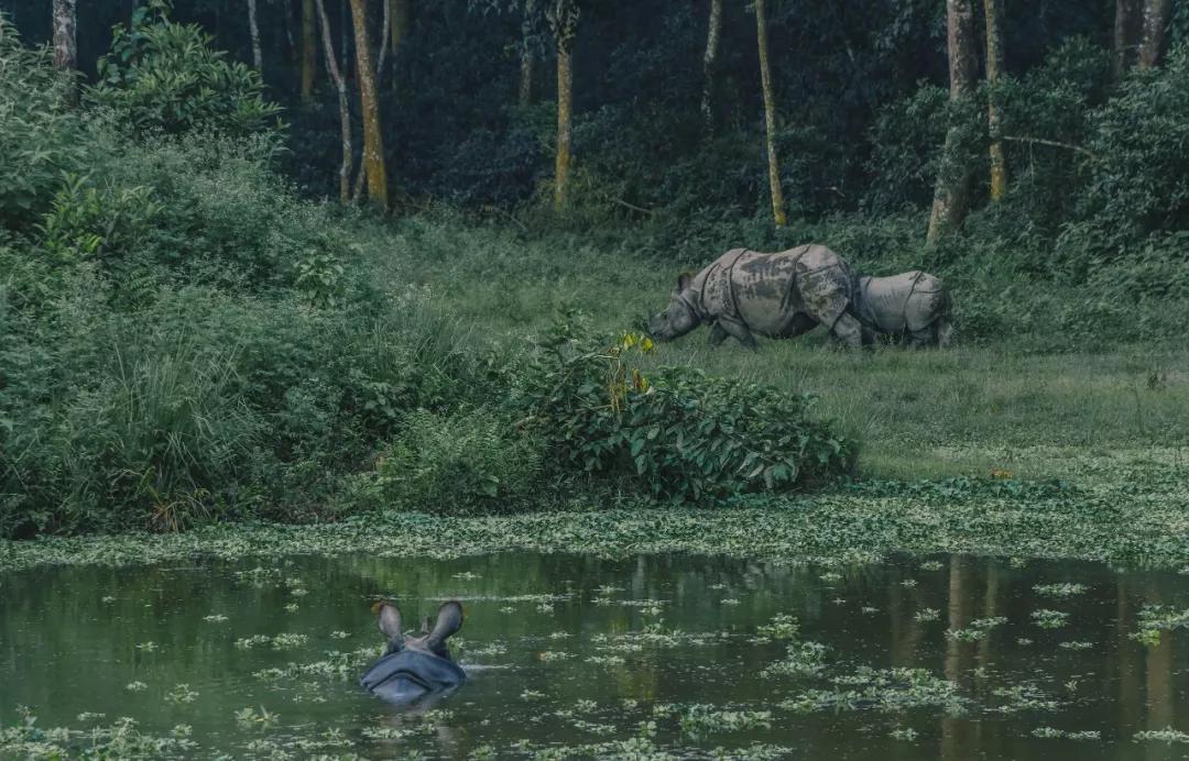 这个微笑国度，见人就夸漂亮，300元就能在天空滑翔