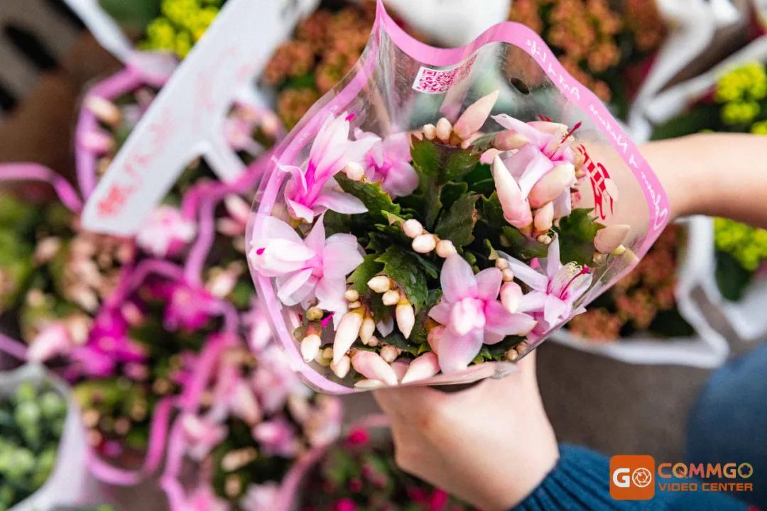 重庆最大的花市在哪里,重庆花市排名前十名