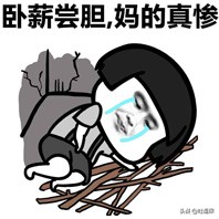 新能源车险买几种险最合适,车险怎么买最合适2023年的车