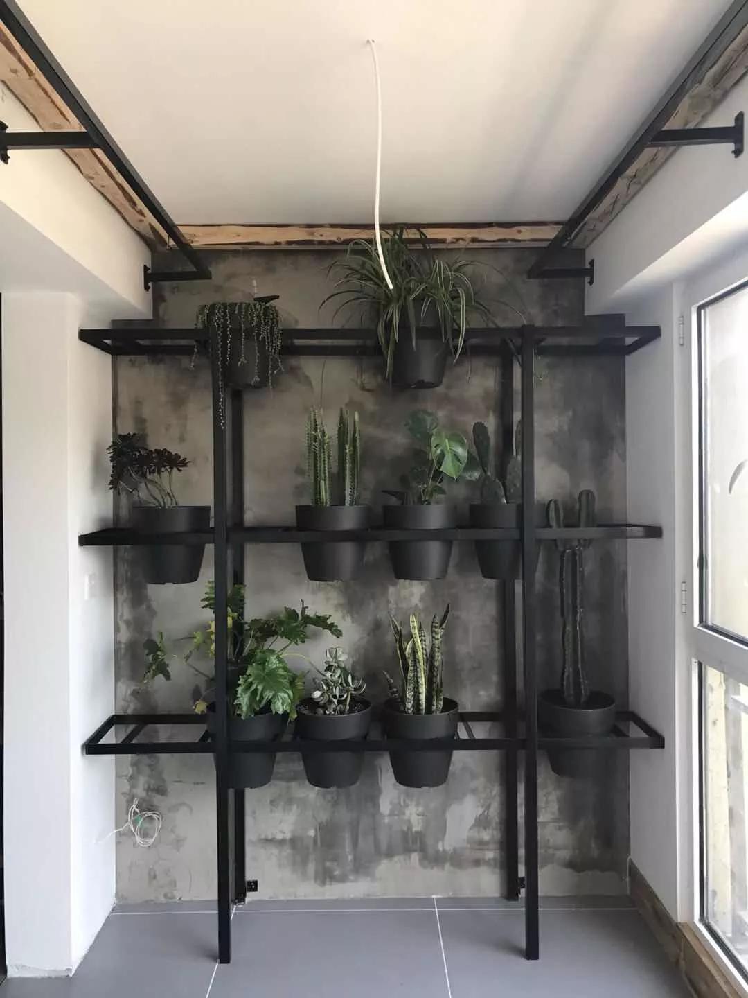 56岁阿姨独居2层别墅，不结婚不生娃，靠另类日式风圈粉无数人