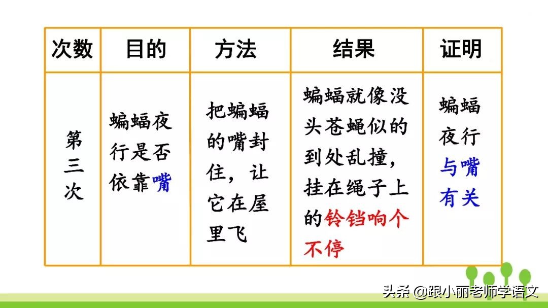 语文思维导图四年级上蝙蝠和雷达,人教版四年级上册蝙蝠和雷达朗读