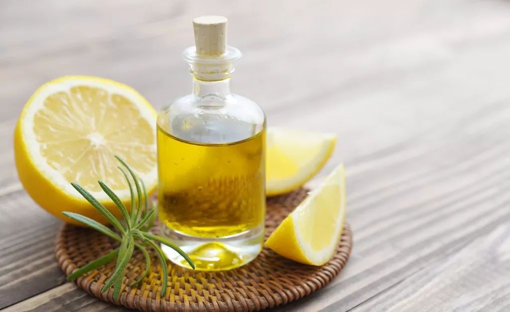 三十种不能吃的小食品,不能喂猫的食物