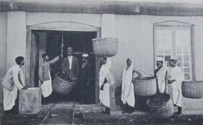 100年坑蒙拐骗，英国怎么抢走了大清的商业王座