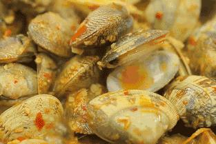 有了这座小县城，封海也封不住浙江人吃海鲜的嘴