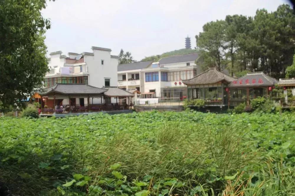 来，跟着“新高淳人”看高淳～