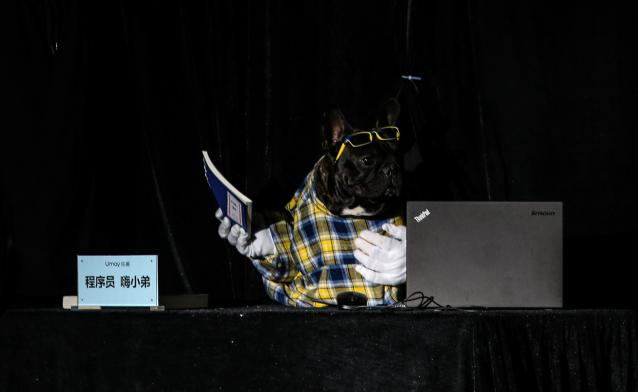 佑美跑步机步频,佑美跑步机跑步距离