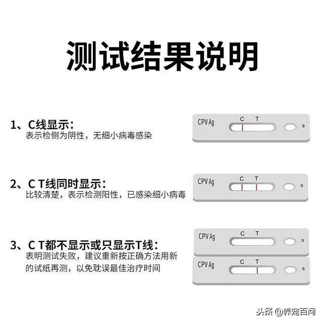 治疗狗狗拉稀呕吐的最好方法,狗狗喂了螃蟹后呕吐拉肚子