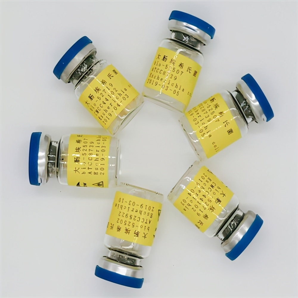 菌种退化会出现哪些现象,菌种原理是什么