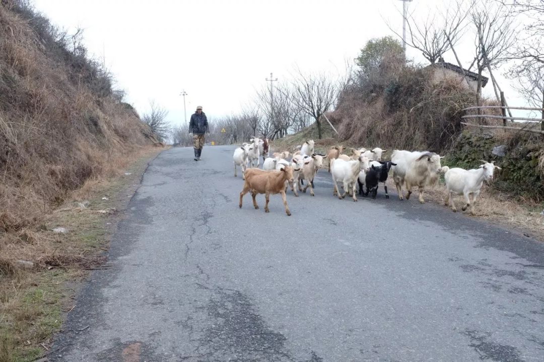 宁波踏青必去十大景点,宁波踏青景点介绍视频