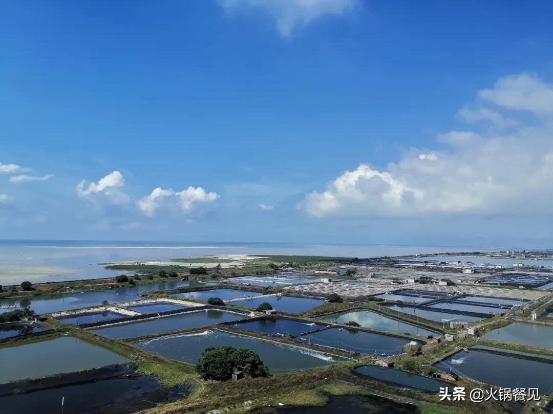 北海正宗海味鲜虾虾滑,广西北海新鲜虾滑